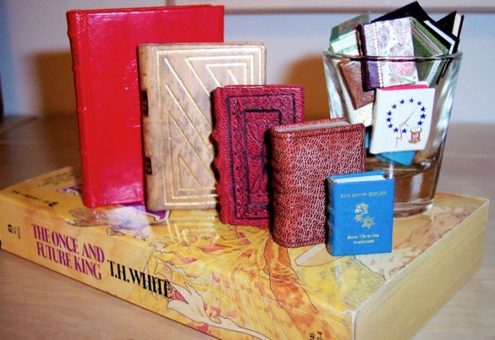 comparing-book-sizes